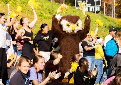 Fans and College mascot